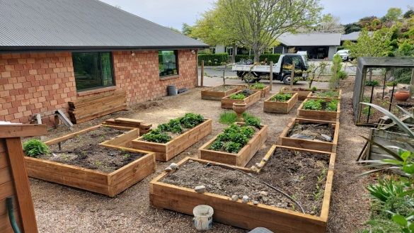 Replacement of Vegetable Boxes